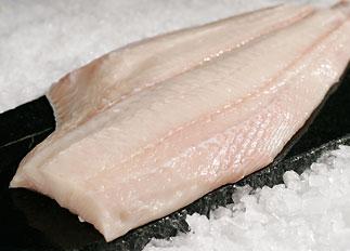 Halibut filet bez skóry, Atlantic halibut filet without skin, Hippoglossus hippoglossus, ryby, ryby